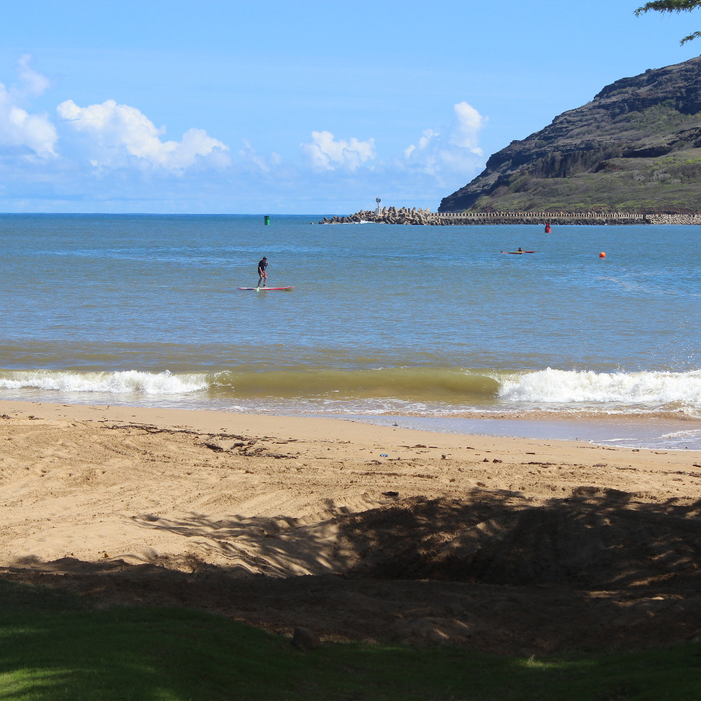 Meet your Posher, Heide